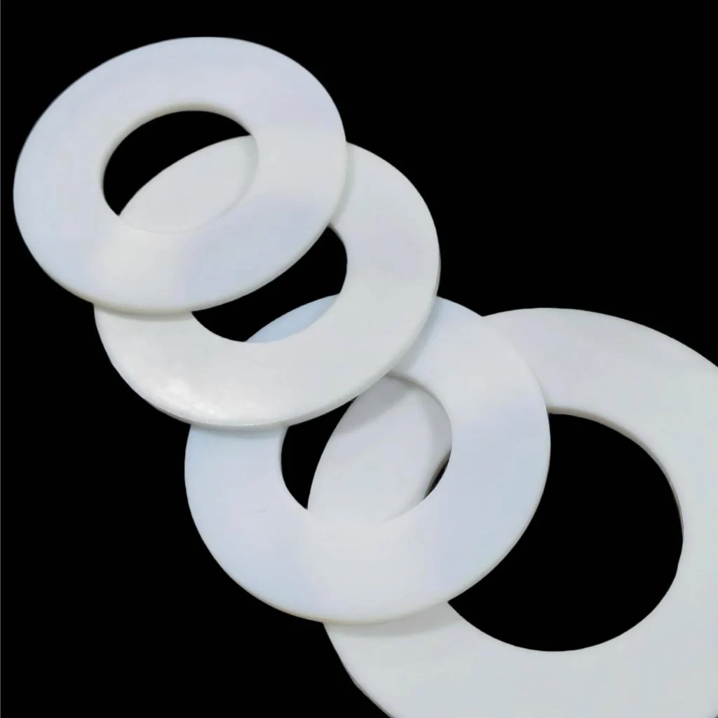 Chemical Resistance Gasket 1