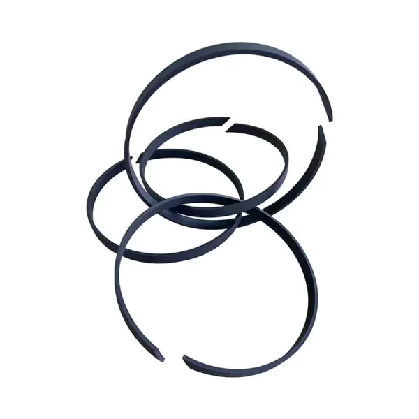 OEM Factory Customized Vacuum Pump Supporting Guide Sealing Ring Black - Image 2