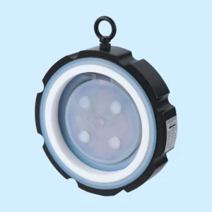 PFA Lined Swing Check Valve1
